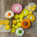 Handcrafted Designer Daisey Candles set of 10