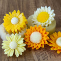 Handcrafted Designer Daisey Candles set of 10