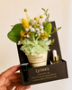 NextGen Dried Flower Air fresheners with Pure Essential Oils— By Lyörrä
